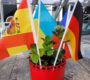 Fleißbildchen und Schönheitspreis?